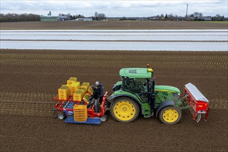 Lettuce plants are planted with a planting machine, Agriculture, Spring