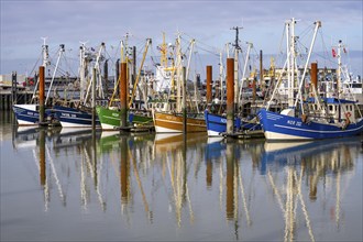 Fishing boats, shrimp boats in the harbour of Norddeich, Lower Saxony, Germany, Europe