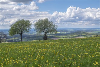 View from the Maulkuppe, mountain in the Hessian Rhön nature park Park, Hesse, Germany, Europe