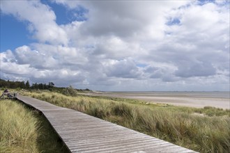 Boardwalk between Nieblum and Greveling, North Sea island of Föhr, Schleswig-Holstein, Germany,