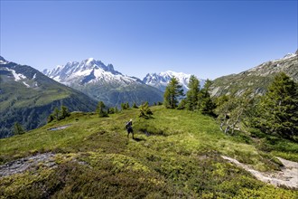 Mountaineer in front of a mountain panorama with glaciated mountain peaks, Aiguille Verte with