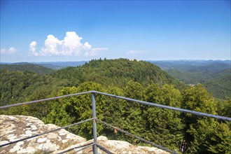 Cross-border castle hike in the Palatinate Forest-North Vosges biosphere reserve: View from