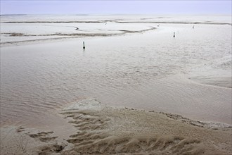 Low tide, mudflats, Dollart, Nieuwe Statenzijl, Netherlands