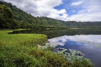 Landscape reflected in the volcanic crater lake Laguna de Hule with tropical rainforest, Refugio