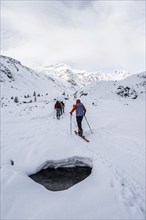 Ski tourers ascending in the rear Martell Valley, snow-covered mountain peak Monte Cevedale behind,