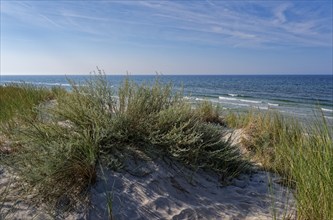 Dune landscape on the Polish Baltic coast in the Slowinski National Park, part of the UNESCO