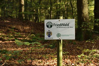 Europe, Germany, Lower Saxony, Stade district, cemetery forest in Neukloster Forst, burial in