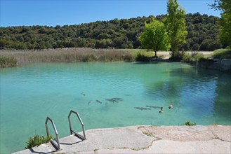 Clear lake with ducks and fish, surrounded by green trees and hills, under a blue sky, Baño de las