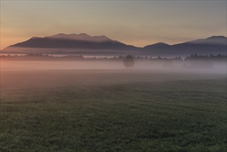 Foggy mood, morning light, mountains, summer, Loisach-Lake Kochel moor, behind Zwiesel, Alpine