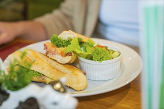 A fresh sandwich on ciabatta bread with salad, served on a white plate, autumn creations, Cafe Kuh,