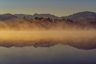 Autumnal morning atmosphere at Schmutter Weiher with fog near Lechbruck, Halblech and Roßhaupten in