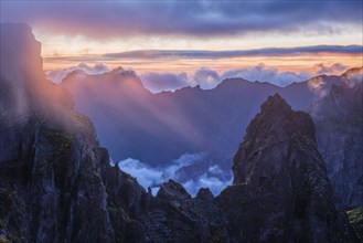 Mountains on sunset covered in fog and clouds with blooming Cytisus shrubs. Near Pico de Arieiro,