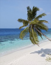 Beach with turquoise blue water shallow lagoon of Maldives island Filaidhoo in Indian Ocean, in the