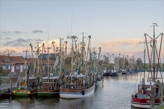 Crab cutter in the harbour of Greetsiel, the largest cutter fleet in East Frisia, Greetsiel, East