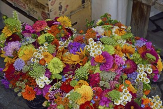 Europe, Germany, cut flowers, colourful bouquet, Europe