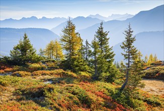 View of the Valais mountains in autumn, Lower Valais, Switzerland, Europe