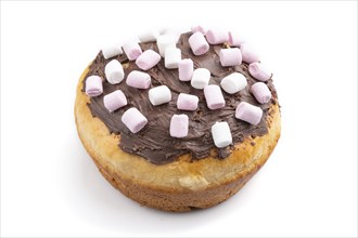 Homemade glazed and decorated chocolate easter pie isolated on a white background. Side view, close