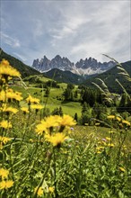 Geislerspitzen, Villnöss Valley, Sass Rigais, Dolomites, South Tyrol, Italy, Europe