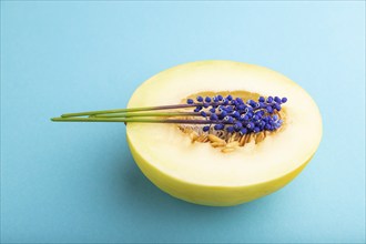 Sliced ripe yellow melon and hyacinth flowers on blue pastel background. Side view, close up.