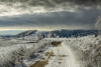 Path on Aubrac plateau in winter. Lozere. Occitanie. France