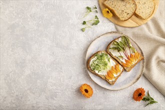 White bread sandwiches with cream cheese, calendula petals and microgreen on gray concrete