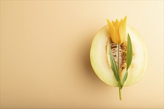 Sliced ripe yellow melon and tulip flower on orange pastel background. Top view, flat lay, copy