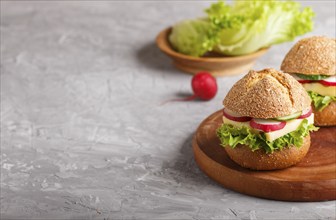 Sandwiches with cheese, radish, lettuce and cucumber on wooden board on a gray concrete background.