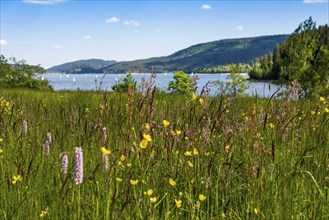 Lake and mountains in summer, Schluchsee, Black Forest, Baden-Württemberg, Germany, Europe