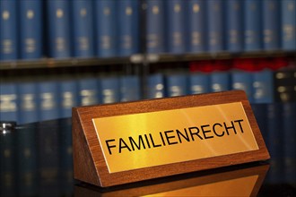 Symbolic image family law: Brass sign with the inscription family law in front of a large bookshelf