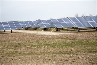 Solar array of photovoltaic panels in a large new solar park at Bucklesham, Suffolk, England,