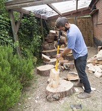 Young man using log splitter tool to split pine tree logs, Suffolk, England, UK