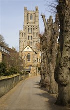 The King's School and the Cathedral, Ely, Cambridgeshire, England, United Kingdom, Europe