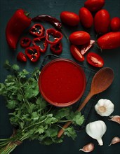 Tomato sauce, tomatoes and sweet pepper, Georgian Satsebeli sauce, with ingredients on a dark