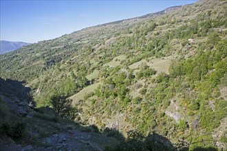 Landscape of the River Rio Poqueira gorge valley, High Alpujarras, Sierra Nevada, Granada Province,