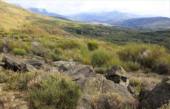 Sierra de Tormantos mountains, near Cuacos de Yuste, view of La Vera valley, Extremadura, Spain,