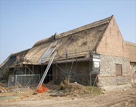 Thatcher working on new thatch barn roof at Windspurs farm, Roughton, Norfolk, England, United