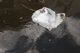 Biodegradeable plastic bag in water