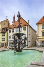 Theodulbrunnen fountain on the market square in Ehingen (Danube), Baden-Württemberg, Germany,