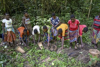 Pygmy woman of the Baka or BaAka people with their hunting nets, Dzanga-Sangha Special Dense Forest