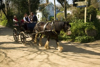 Horse drawn carriage ride along sandy village road, Island of Sark, Channel Islands, Great Britain