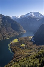 View of the Königssee with St. Bartholomä church, from the Rinnkendlsteig mountain hiking trail,