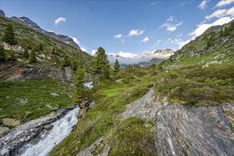 Mountain landscape with mountain stream Zemmbach, behind mountain peak Kleiner Mörcher, Berliner