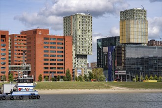 The Rijnhaven, a 28-hectare harbour basin, has now been filled in by almost a third to create space