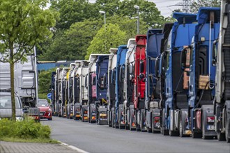 Truck tractors, exclusively from Eastern European countries, park in the harbour area, the canal