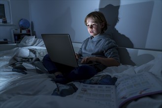 Boy, at home on the computer, laptop, in the children's room, playing a game