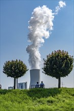 Rhine dyke near Orsory, ball trees, park bench, Walsum coal-fired power station, cooling tower,