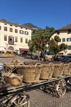 The village of Tramin on the wine route, in South Tyrol, wine-growing region of Gewürztraminer,