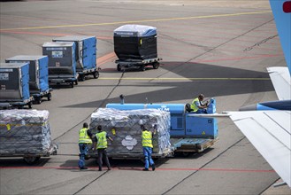 Amsterdam Airport Schiphol, aircraft at terminal, Gates D, check-in, apron, loading of air freight,