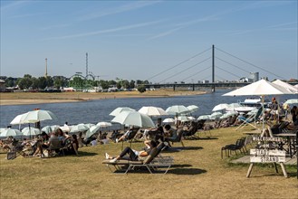 The city beach on the Rhine near Düsseldorf, riverside promenade, by the Rheinkniebrücke bridge,