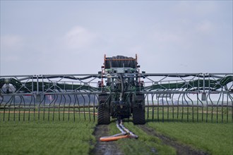 Tractor with boom for spreading liquid manure, on a field, fertilisation